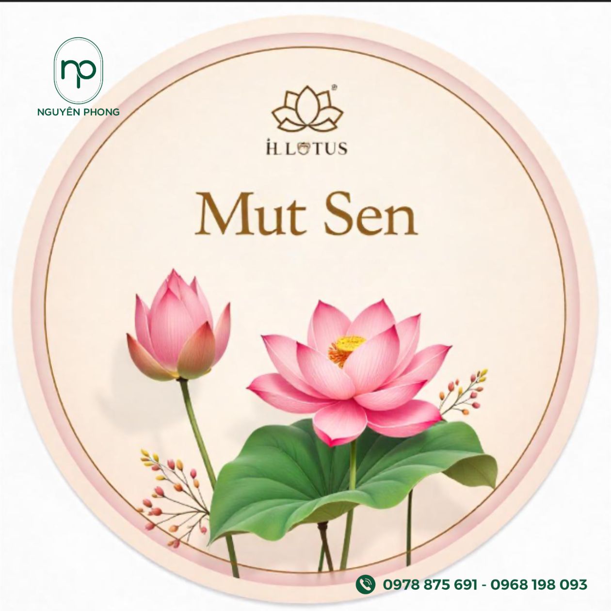 Mẫu tem dán hạt sen sấy
